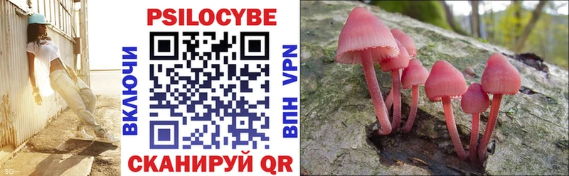Галлюциногенные грибы ЛСД Лабинск
